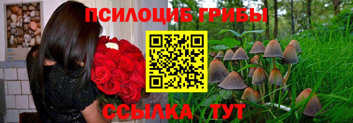 Старый Оскол  Псилоцибиновые грибы Psilocybine cubensis  наркота  Вход с VPN 