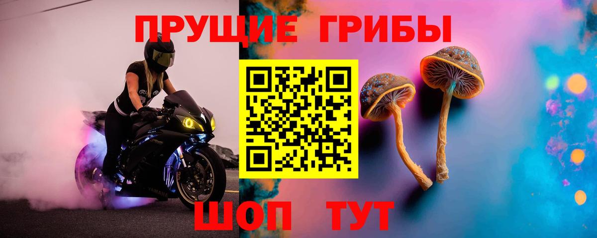 Галлюциногенные грибы Cubensis Старый Оскол